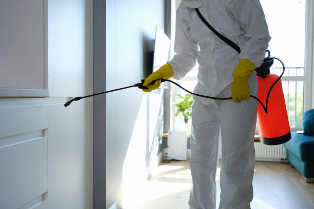 Best Insurance-Related Mold Remediation in Fairfax, VA