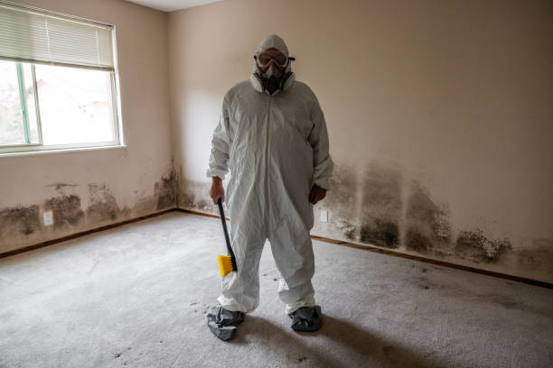 Best Commercial Mold Remediation in Fairfax, VA
